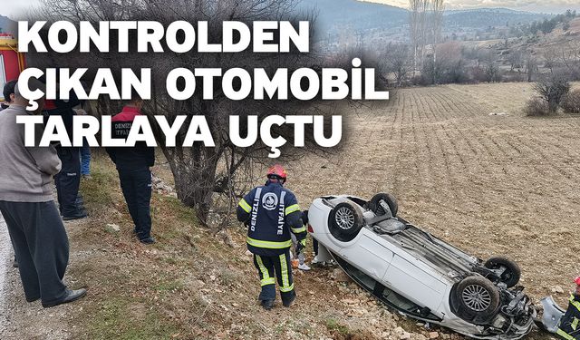 Kontrolden çıkan otomobil tarlaya uçtu