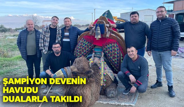Şampiyon devenin havudu dualarla takıldı