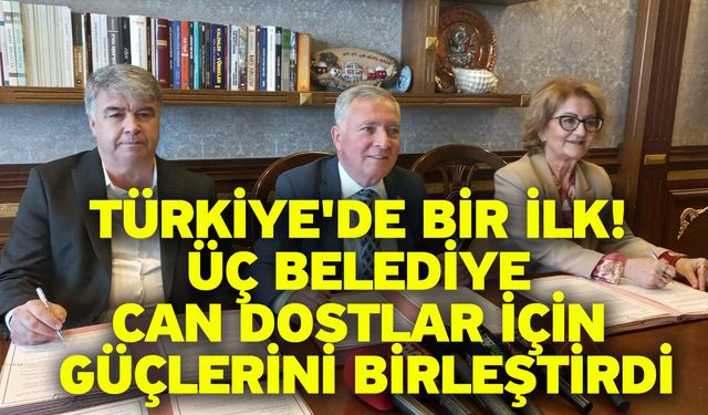 Türkiye'de Bir İlk! Üç Belediye Can Dostlar İçin Güçlerini Birleştirdi