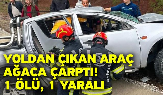 Yoldan çıkan araç ağaca çarptı! 1 ölü, 1 yaralı