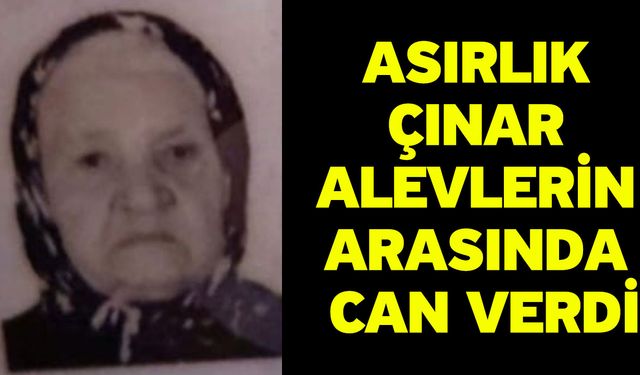 Asırlık çınar alevlerin arasında can verdi