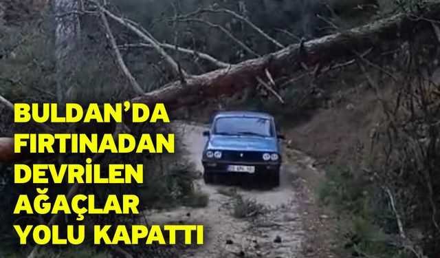 Buldan’da fırtınadan devrilen ağaçlar yolu kapattı