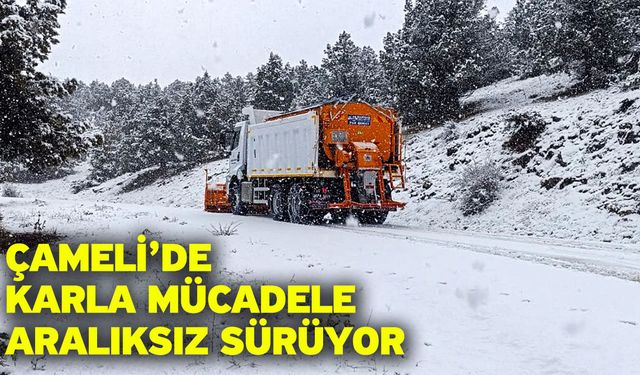 Çameli’de Karla Mücadele Aralıksız Sürüyor
