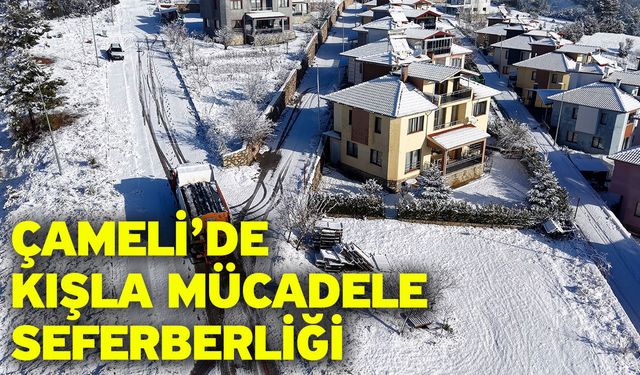 Çameli’de Kışla Mücadele Seferberliği