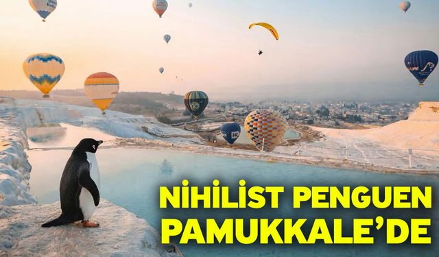 Nihilist Penguen Pamukkale’de