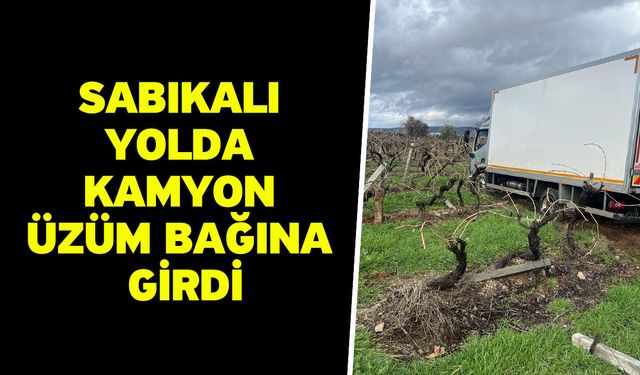 Sabıkalı yolda kamyon üzüm bağına girdi