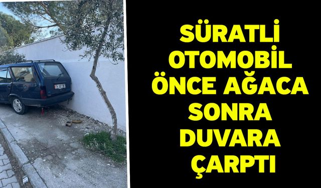 Süratli otomobil önce ağaca sonra duvara çarptı