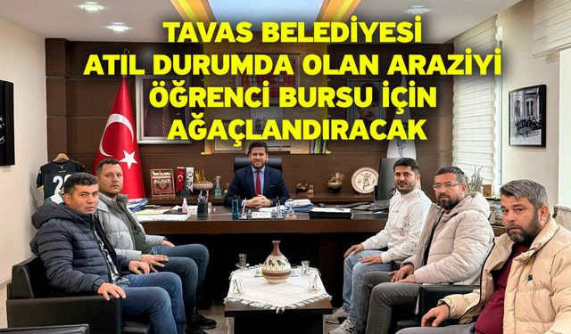 Tavas Belediyesi atıl durumda olan araziyi öğrenci bursu için ağaçlandıracak