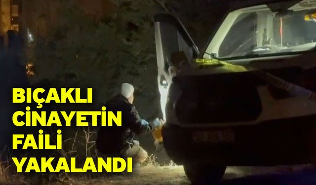 Bıçaklı cinayetin faili yakalandı