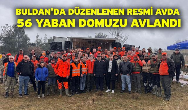 Buldan’da düzenlenen resmi avda 56 yaban domuzu avlandı