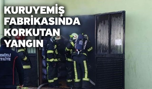 Kuruyemiş fabrikasında korkutan yangın