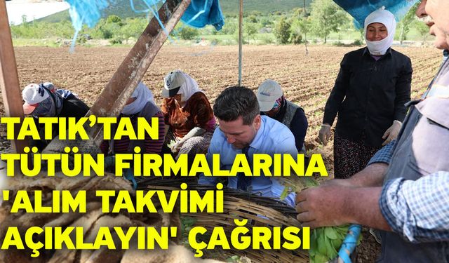 Tatık’tan tütün firmalarına 'Alım takvimi açıklayın' çağrısı