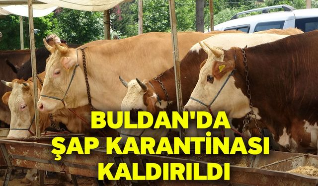 Buldan'da şap karantinası kaldırıldı