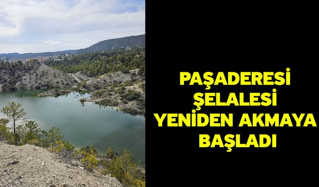 Paşaderesi Şelalesi yeniden akmaya başladı