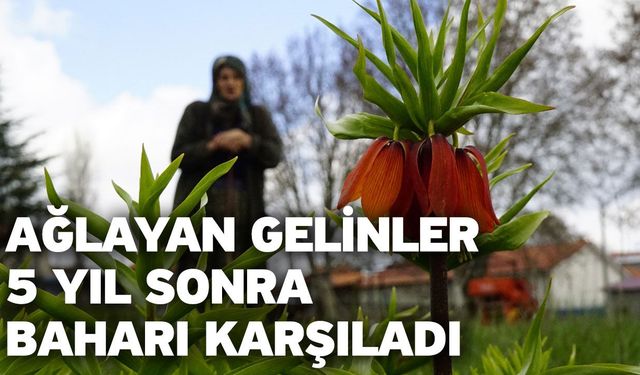 Ağlayan gelinler 5 yıl sonra baharı karşıladı