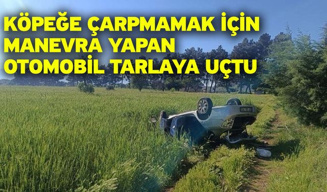 Köpeğe çarpmamak için manevra yapan otomobil tarlaya uçtu