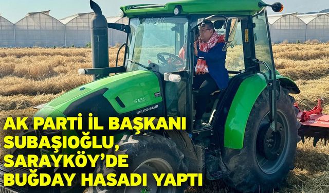 AK Parti İl Başkanı Subaşıoğlu, Sarayköy’de buğday hasadı yaptı
