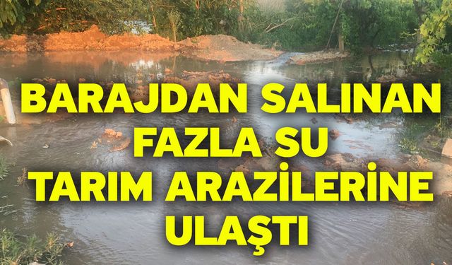 Barajdan salınan fazla su tarım arazilerine ulaştı
