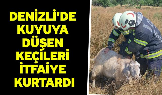 Denizli'de kuyuya düşen keçileri itfaiye kurtardı