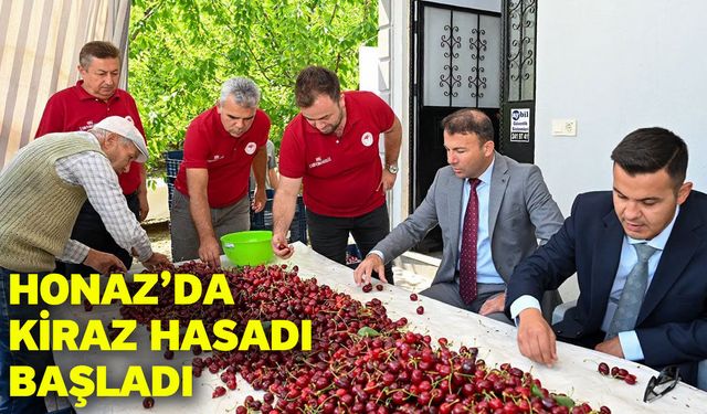 Honaz’da kiraz hasadı başladı