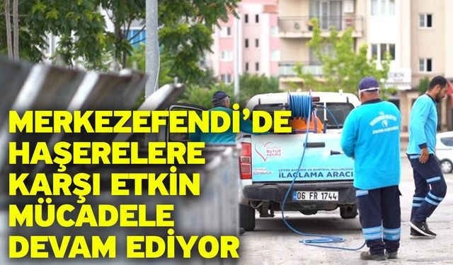 Merkezefendi’de haşerelere karşı etkin mücadele devam ediyor