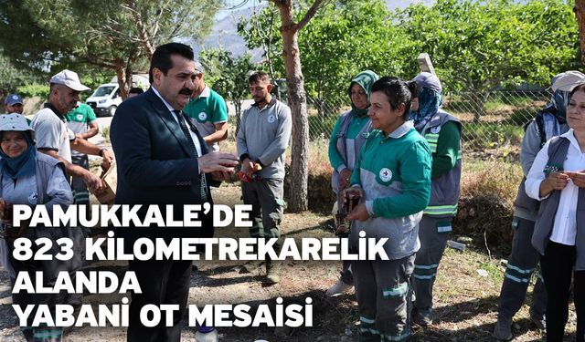 Pamukkale’de 823 Kilometrekarelik Alanda Yabani Ot Mesaisi