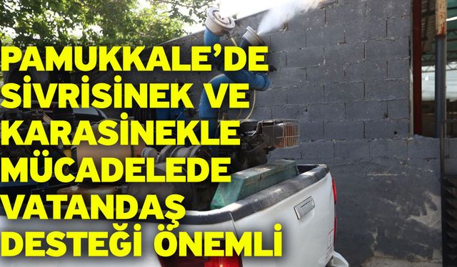 Pamukkale’de Sivrisinek Ve Karasinekle Mücadelede Vatandaş Desteği Önemli