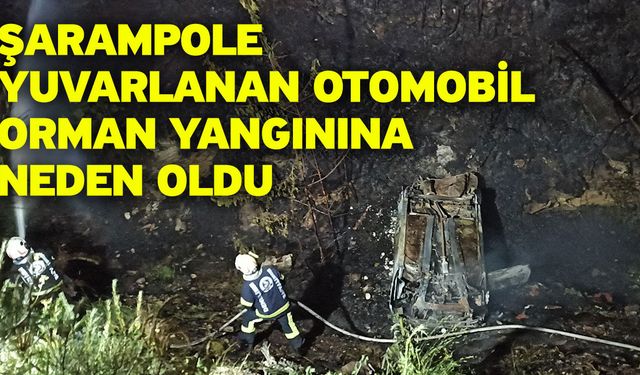 Şarampole yuvarlanan otomobil orman yangınına neden oldu