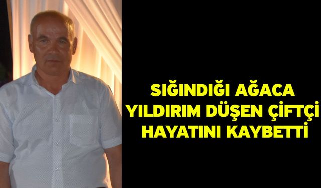 Sığındığı ağaca yıldırım düşen çiftçi hayatını kaybetti