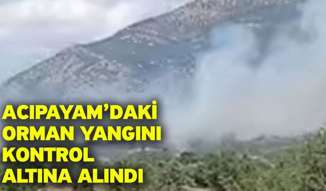 Acıpayam’daki orman yangını kontrol altına alındı