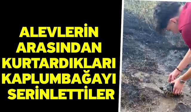 Alevlerin arasından kurtardıkları kaplumbağayı serinlettiler