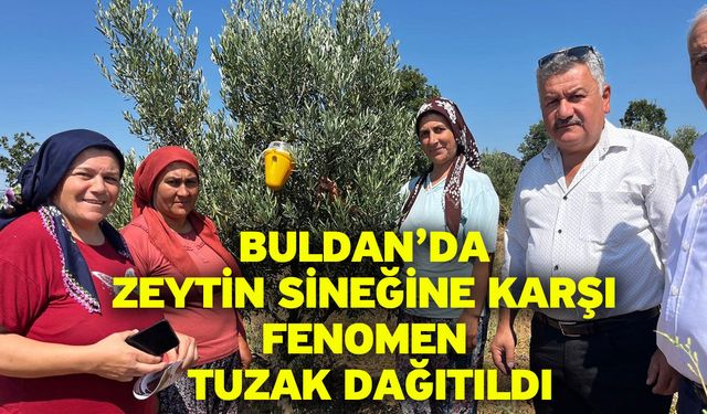 Buldan’da zeytin sineğine karşı fenomen tuzak dağıtıldı
