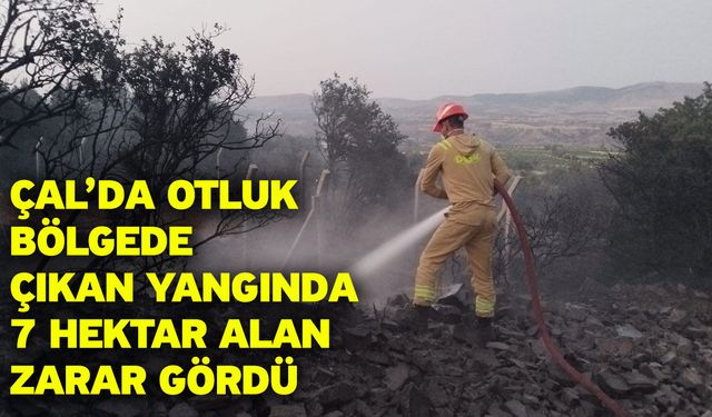 Çal’da otluk bölgede çıkan yangında 7 hektar alan zarar gördü
