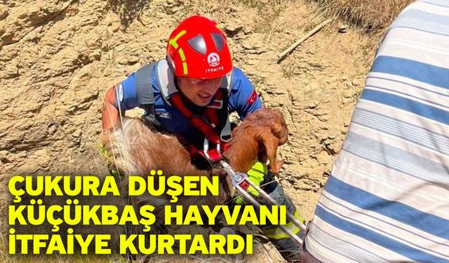 Çukura düşen küçükbaş hayvanı itfaiye kurtardı