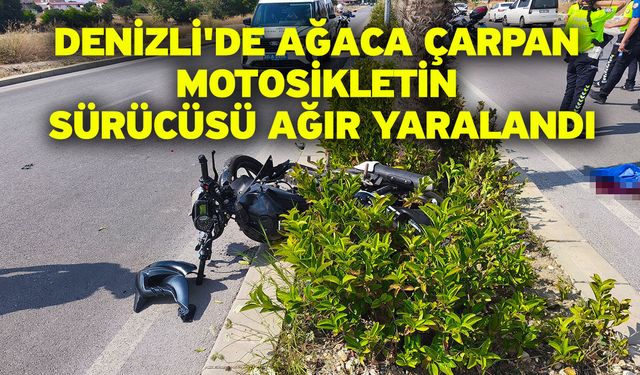 Denizli'de ağaca çarpan motosikletin sürücüsü ağır yaralandı
