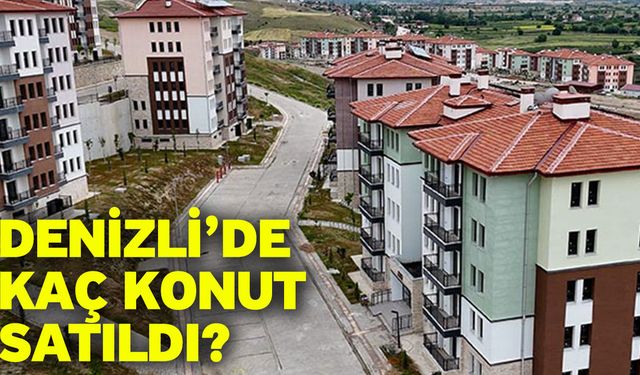 Denizli’de kaç konut satıldı?