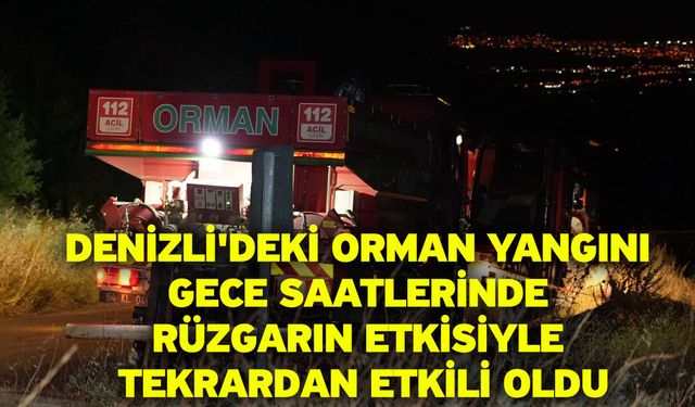 Denizli'deki orman yangını gece saatlerinde rüzgarın etkisiyle tekrardan etkili oldu