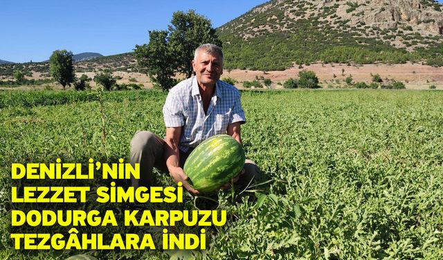 Denizli’nin lezzet simgesi Dodurga Karpuzu tezgâhlara indi