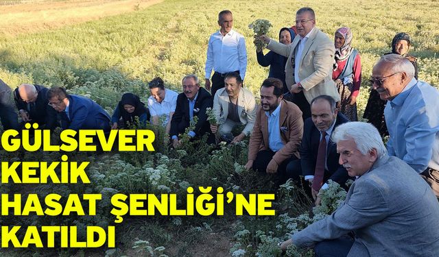 Gülsever Kekik Hasat Şenliği’ne Katıldı