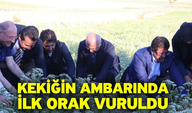 Kekiğin ambarında ilk orak vuruldu