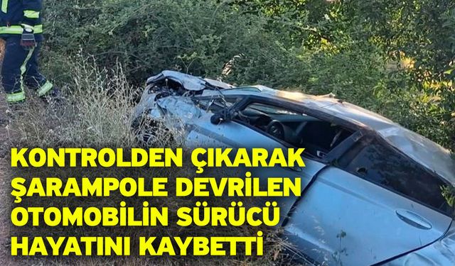 Kontrolden çıkarak şarampole devrilen otomobilin sürücü hayatını kaybetti