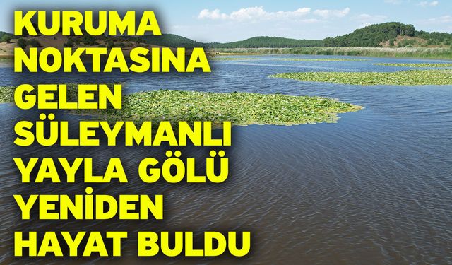 Kuruma noktasına gelen Süleymanlı Yayla Gölü yeniden hayat buldu