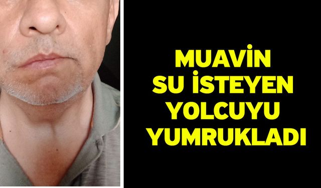 Muavin Su İsteyen Yolcuyu Yumrukladı