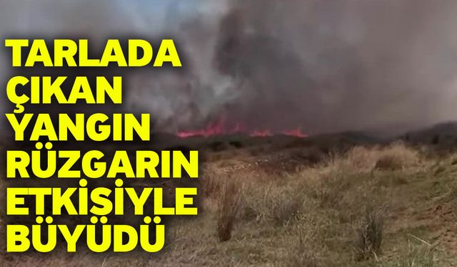 Tarlada çıkan yangın rüzgarın etkisiyle büyüdü