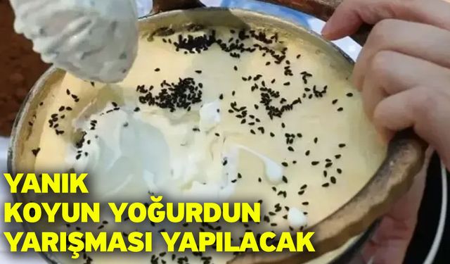 Yanık Koyun Yoğurdun Yarışması Yapılacak