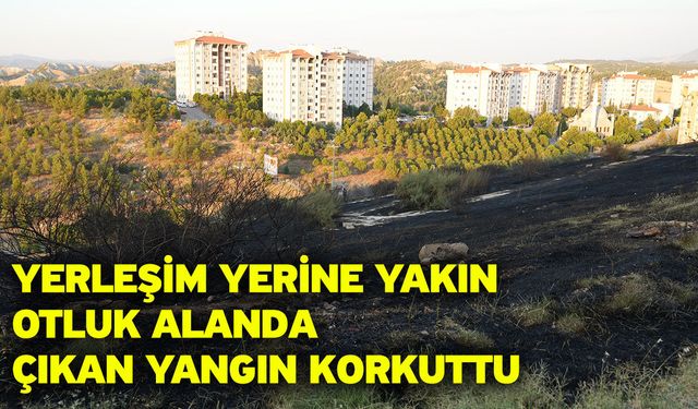 Yerleşim yerine yakın otluk alanda çıkan yangın korkuttu