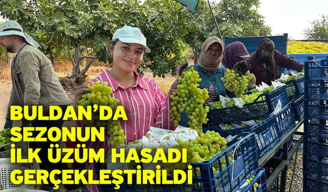Buldan’da sezonun ilk üzüm hasadı gerçekleştirildi