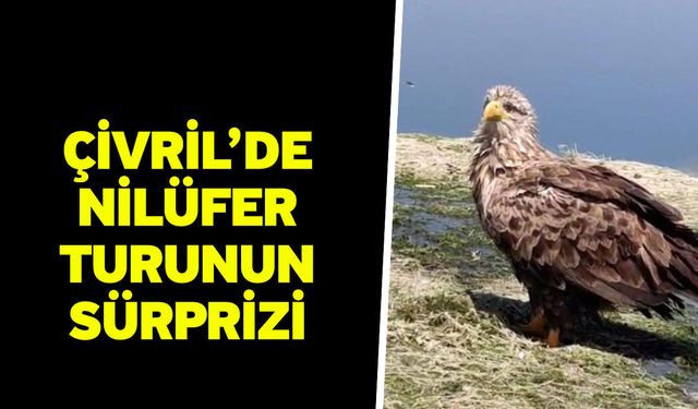Çivril’de nilüfer turunun sürprizi