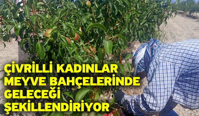 Çivrilli kadınlar meyve bahçelerinde geleceği şekillendiriyor