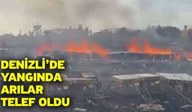 Denizli’de yangında arılar telef oldu